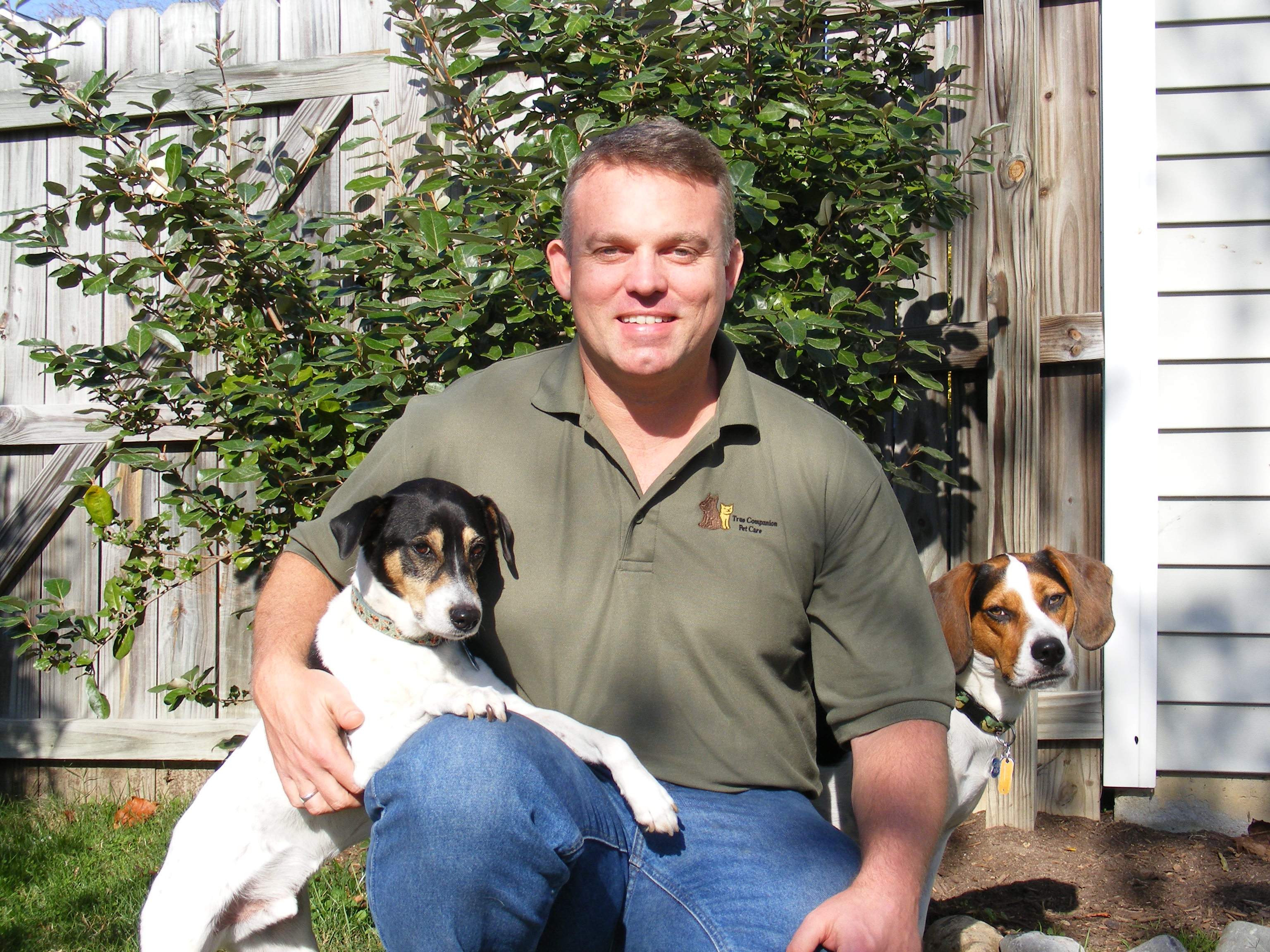 Steve and Dogs